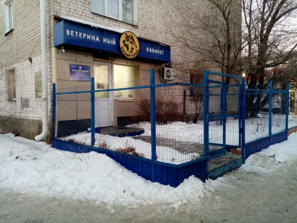 Фото клиники 24119