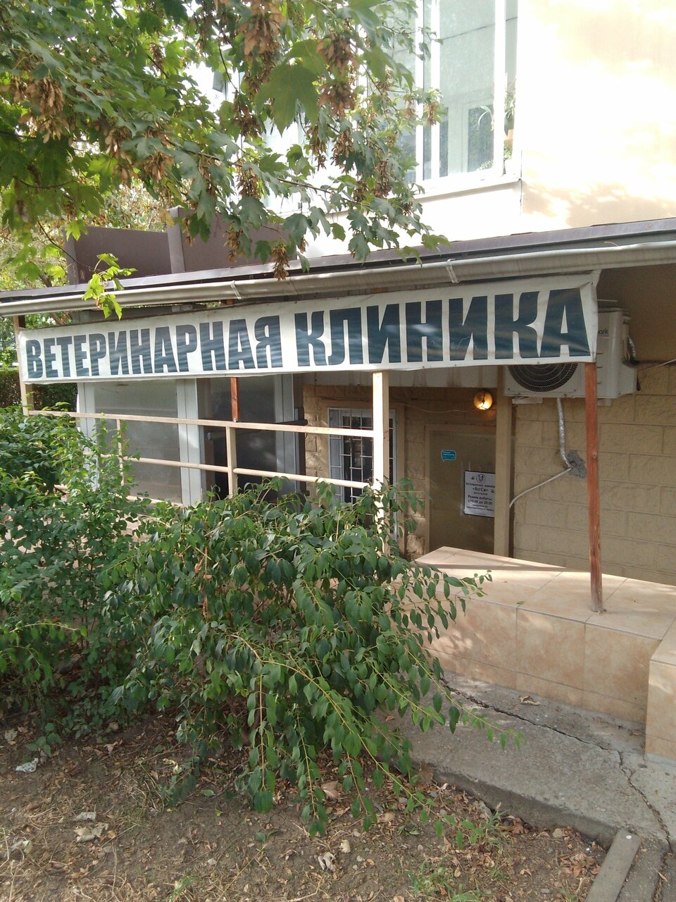Фото клиники 44332