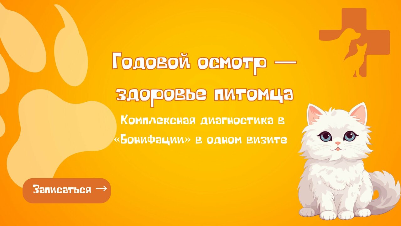 Фото клиники 11346