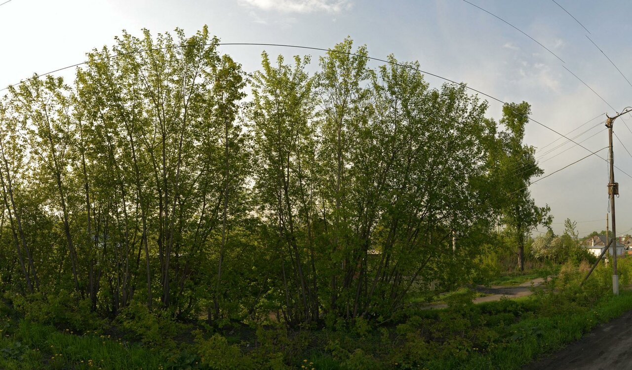 clinic general image