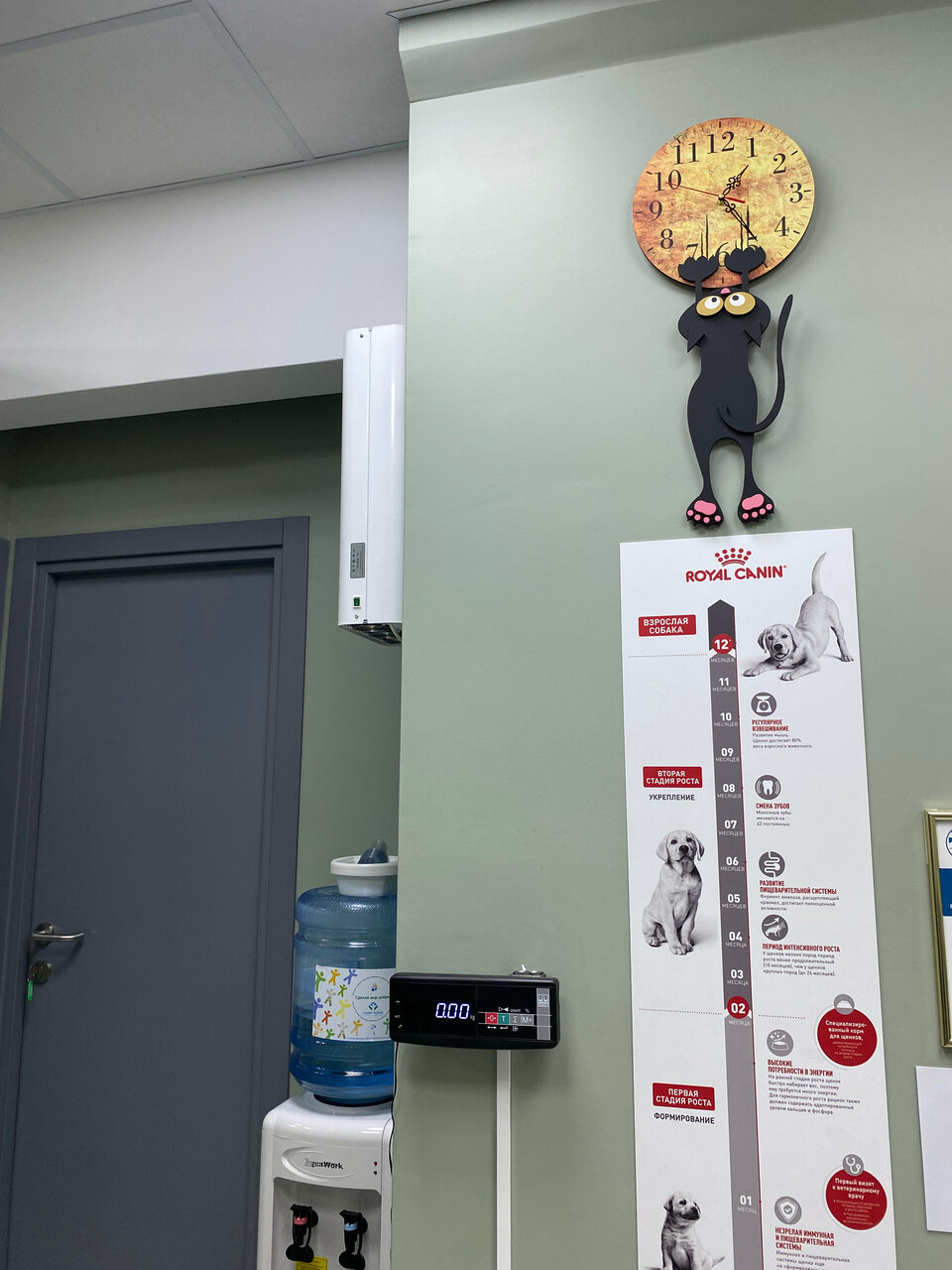 more clinic photos 25230