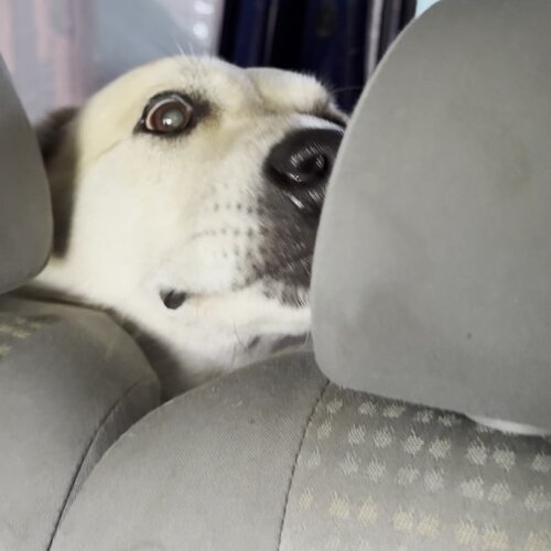 clinic general image