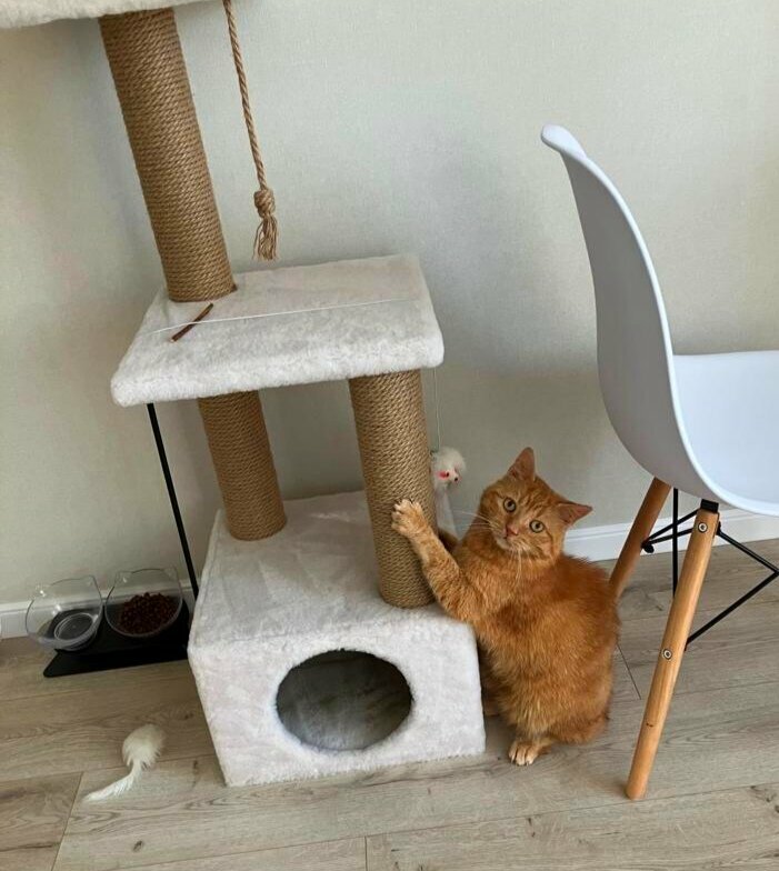 more clinic photos 80234