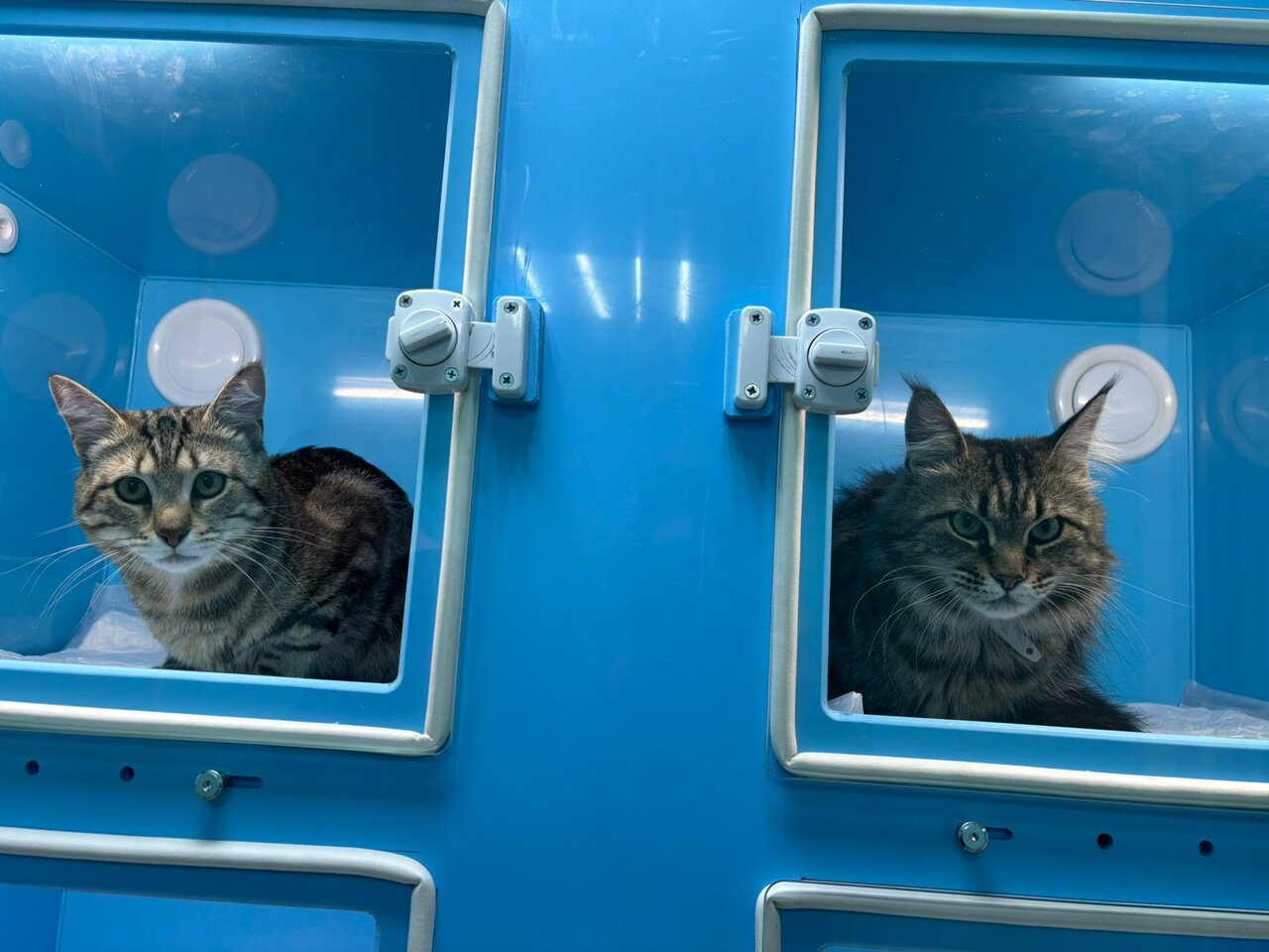 clinic general image