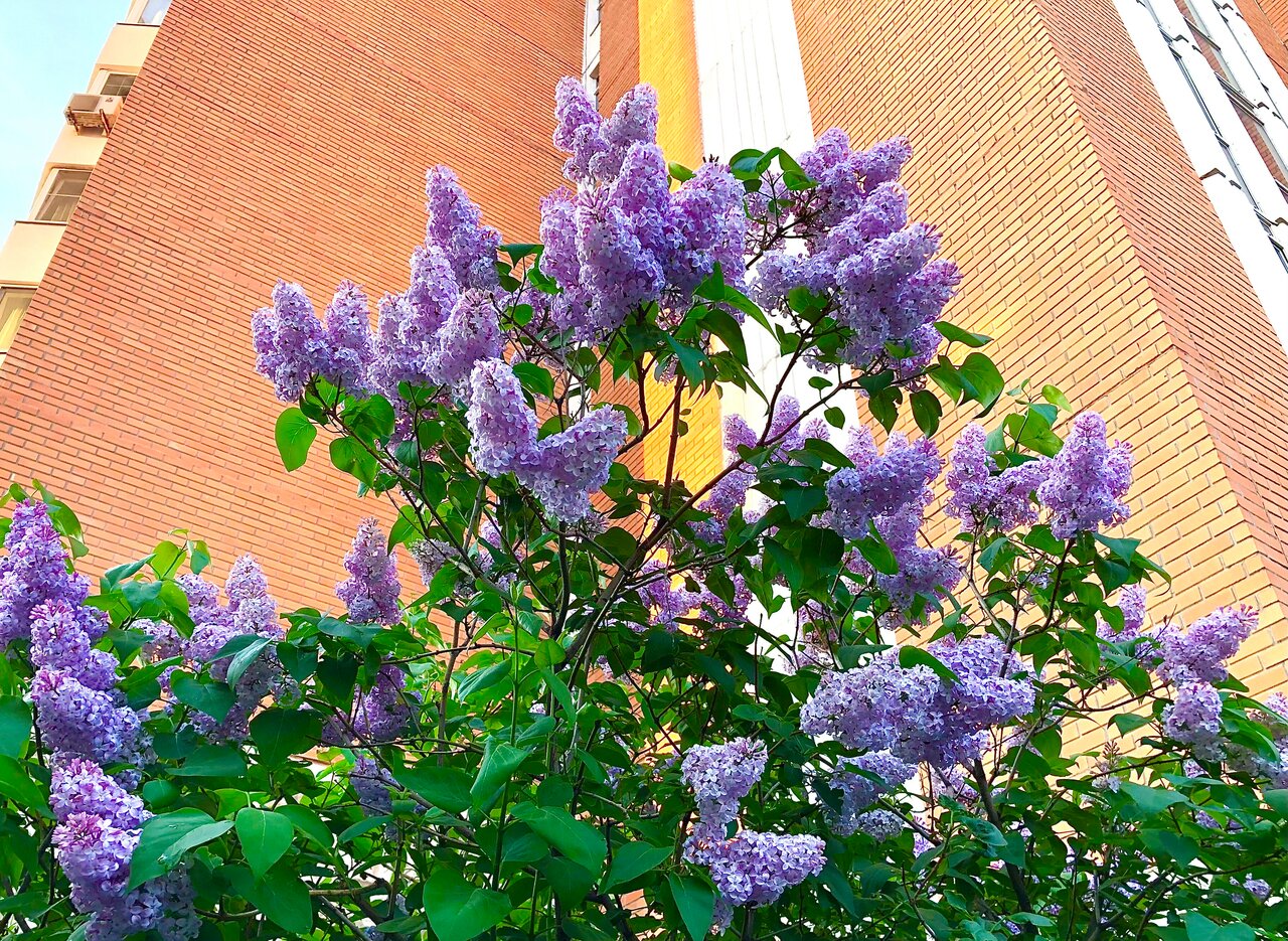 Фото клиники 60342