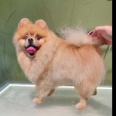 clinic general image