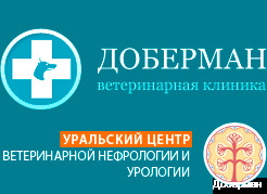 Логотип клиники