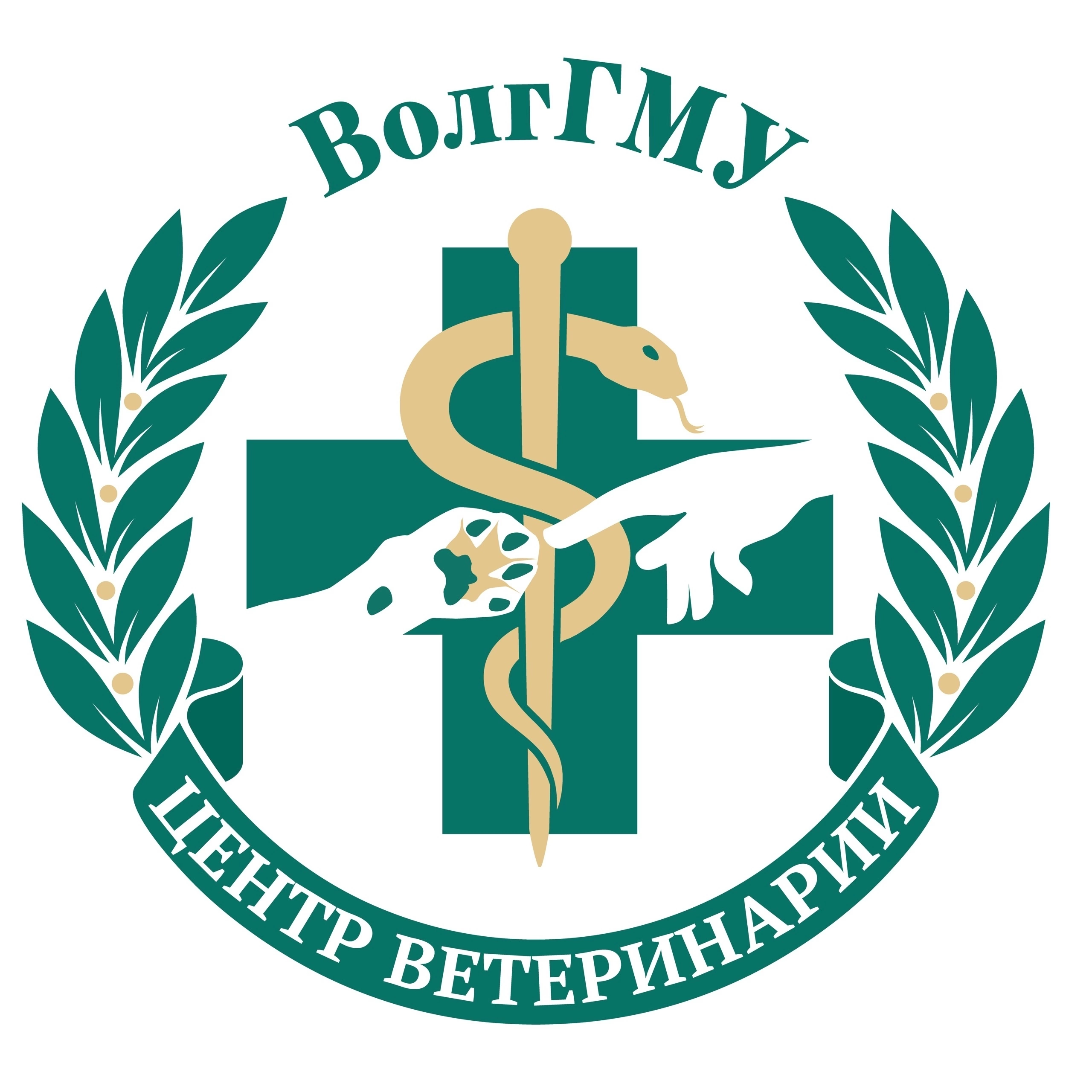 clinic logo