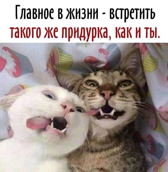 Фото клиники 41978