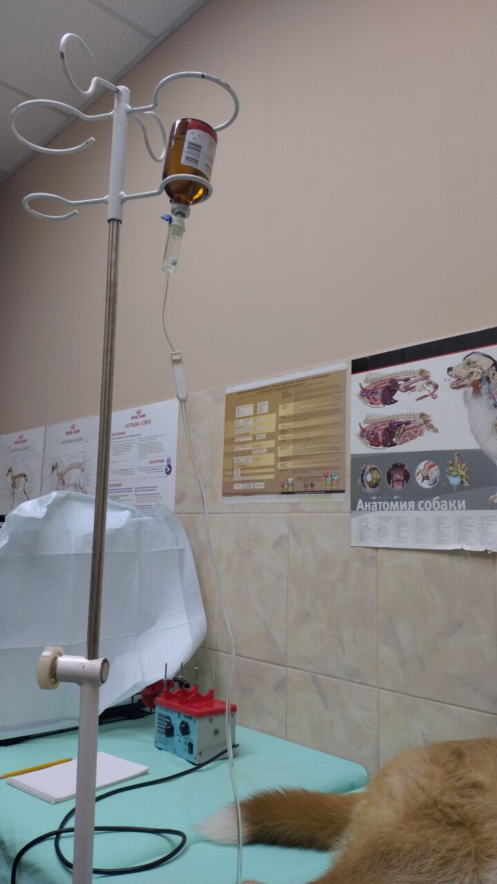 more clinic photos 8020