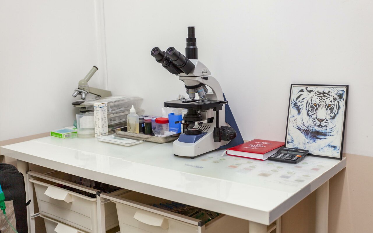 more clinic photos 9001