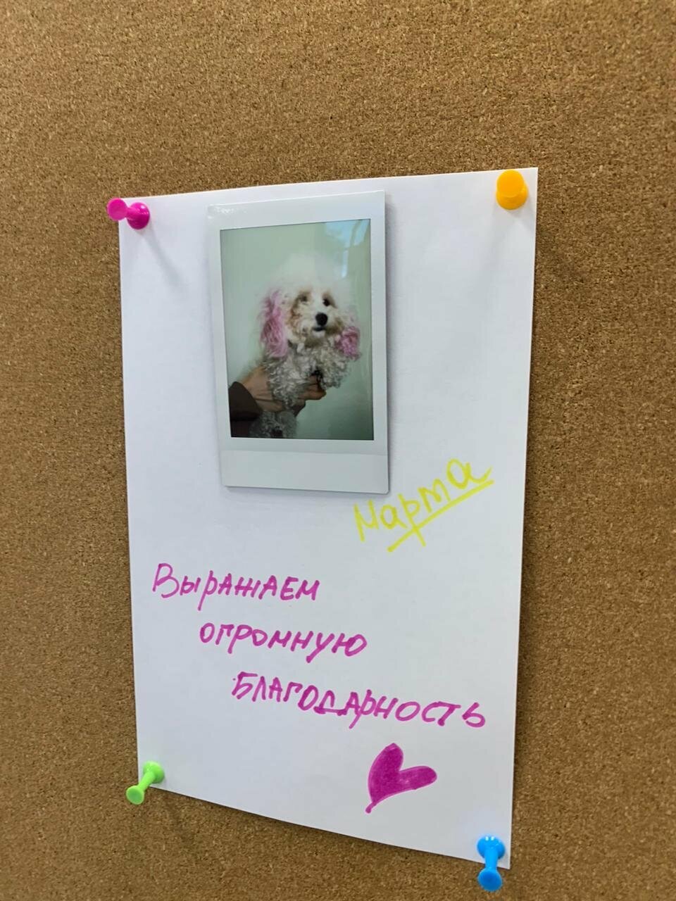 Фото клиники 57592