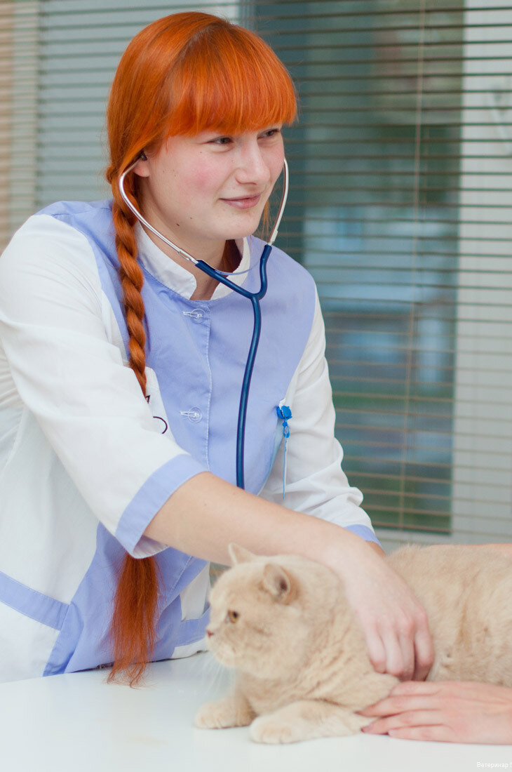 more clinic photos 75123