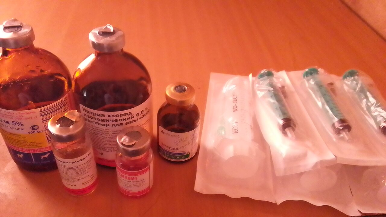 Ветклиника