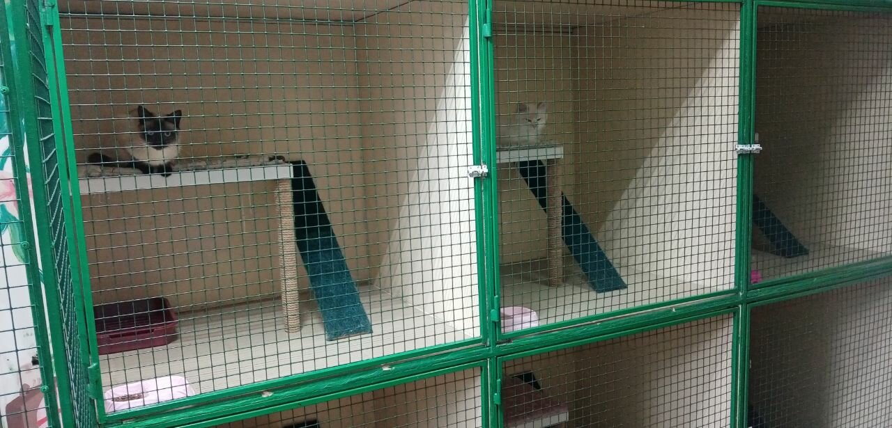 Фото клиники 72184