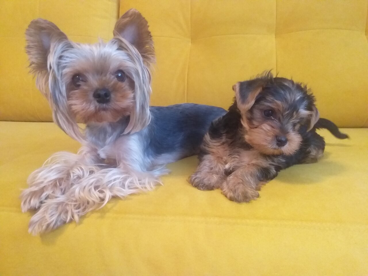 clinic general image