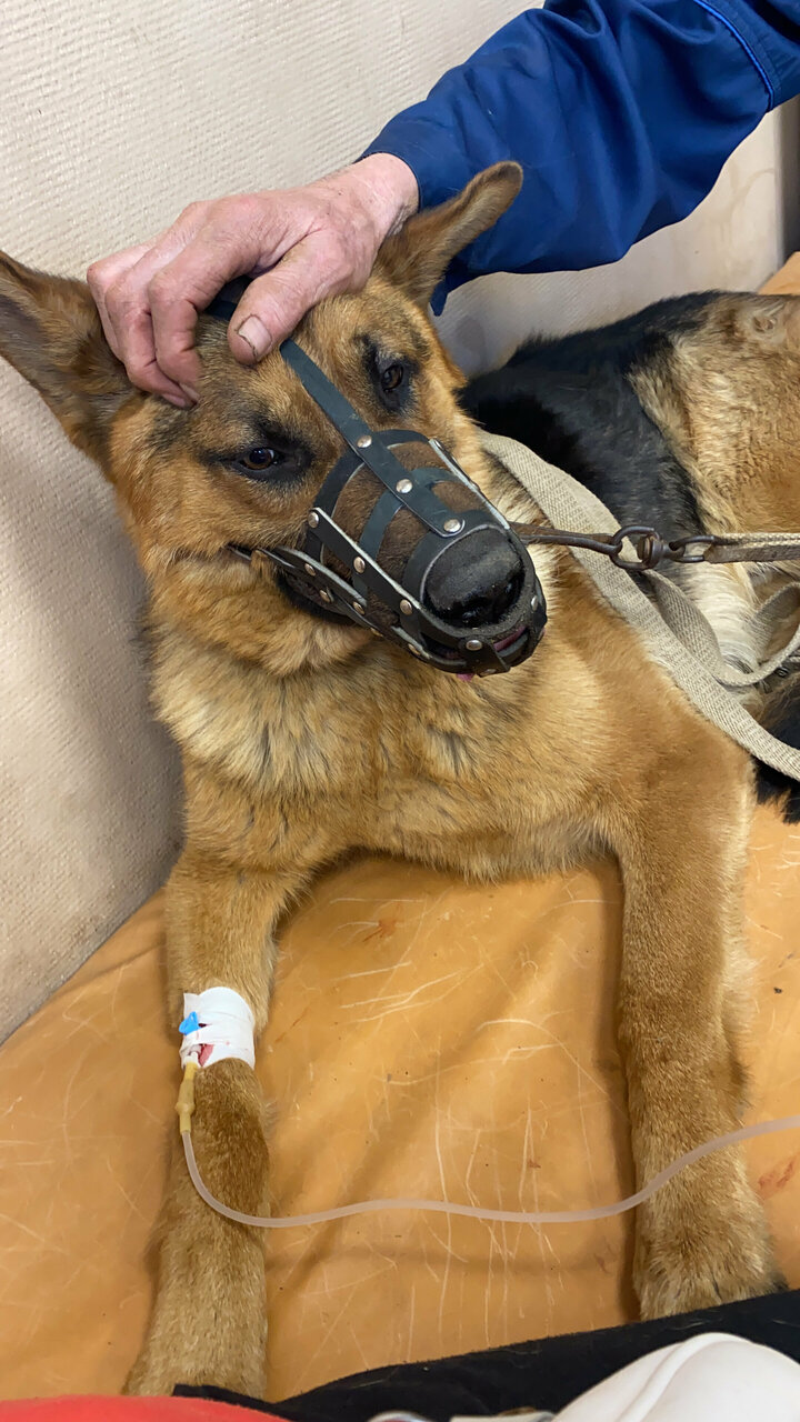 more clinic photos 6848