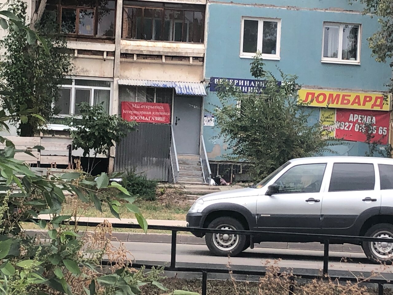 Усатый полосатый