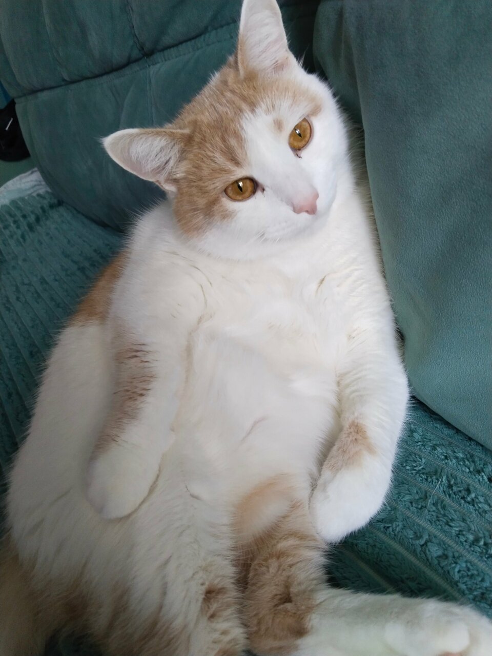 more clinic photos 20610