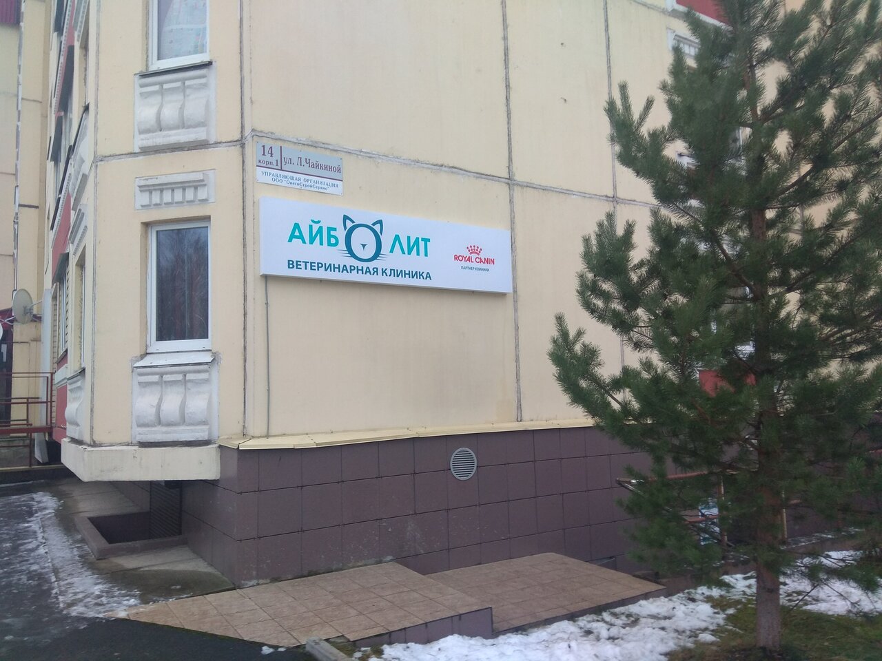 Айболит