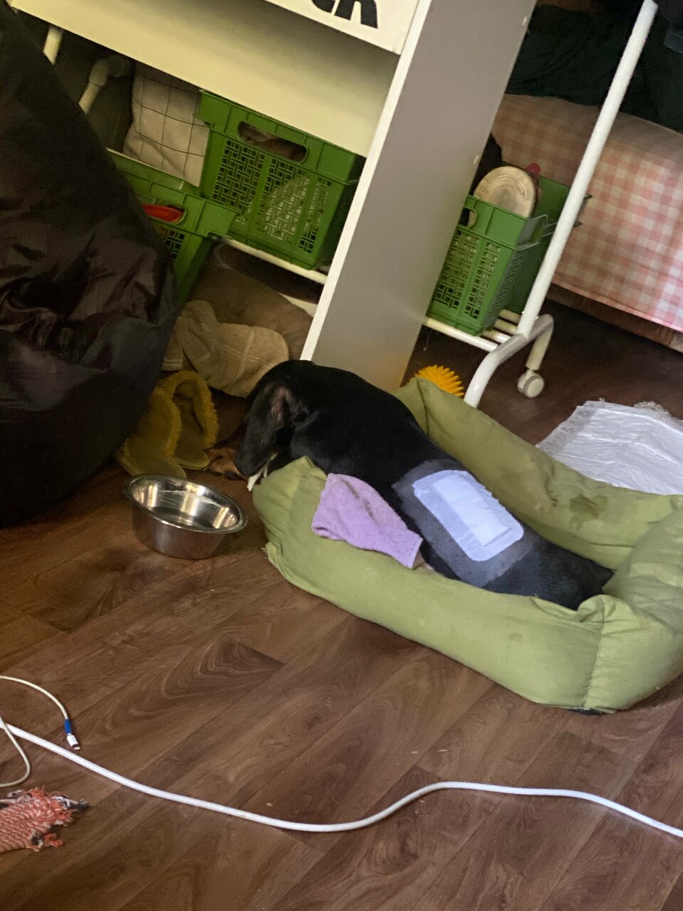 Фото клиники 72319