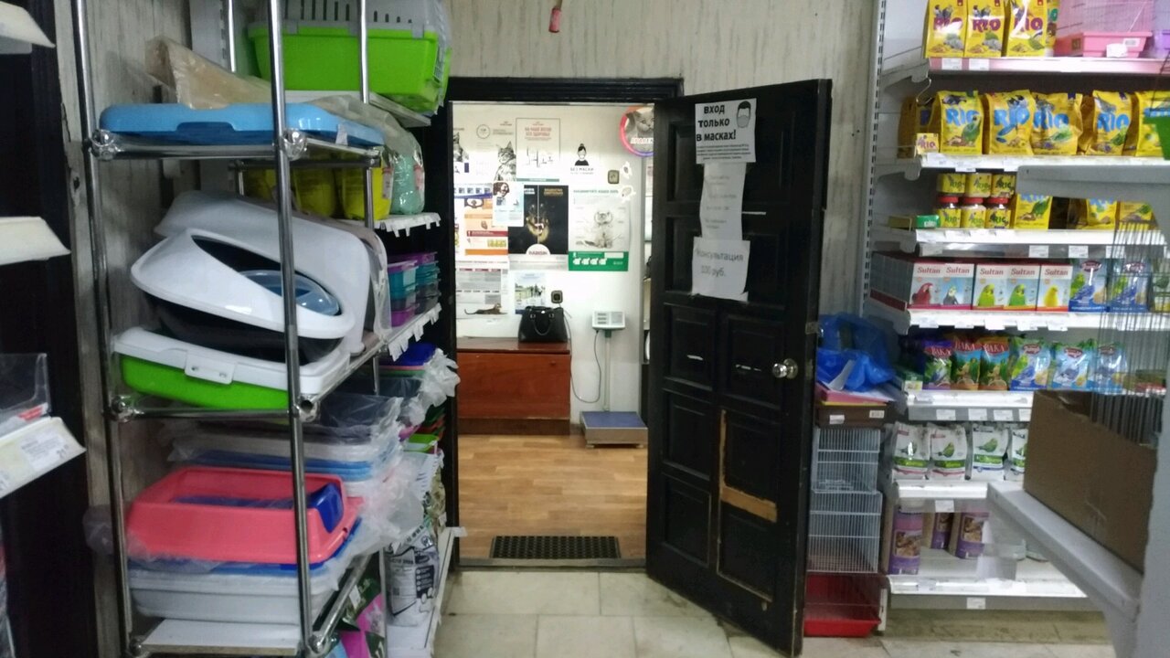 Фото клиники 81306