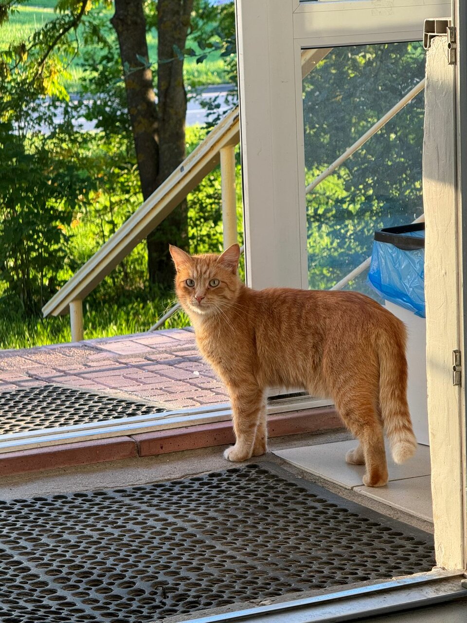 Фото клиники 47834