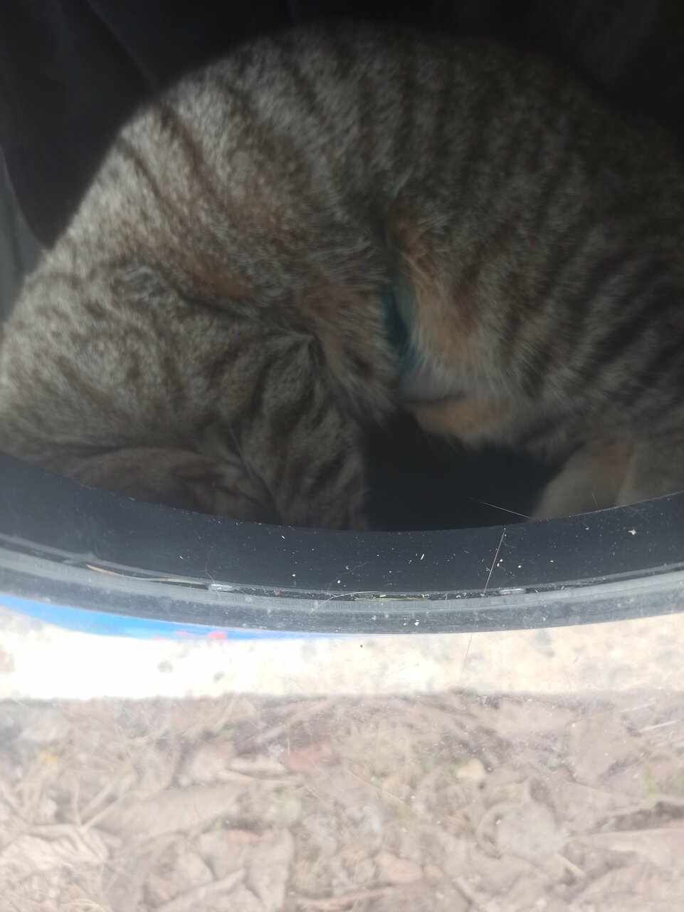 more clinic photos 8697