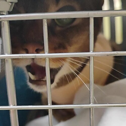 clinic general image