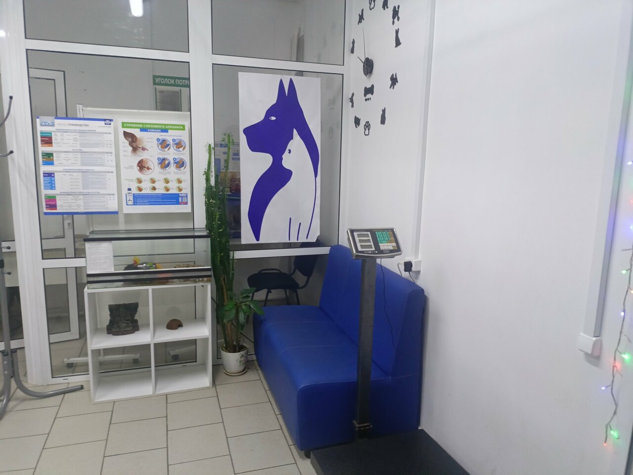 Фото клиники 64803