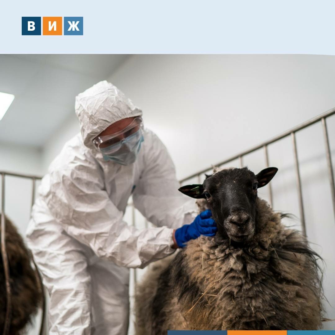 Фото «Спасская ветеринарная станция по борьбе с болезнями животных»