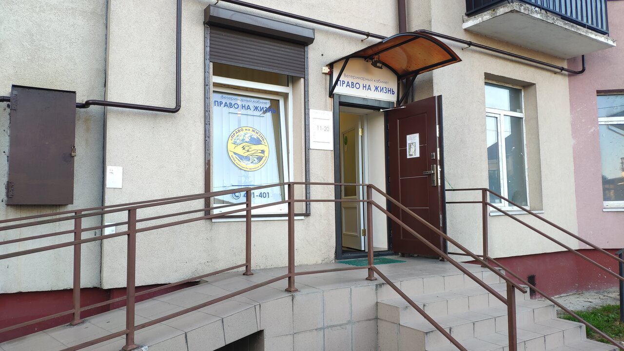 Право на жизнь