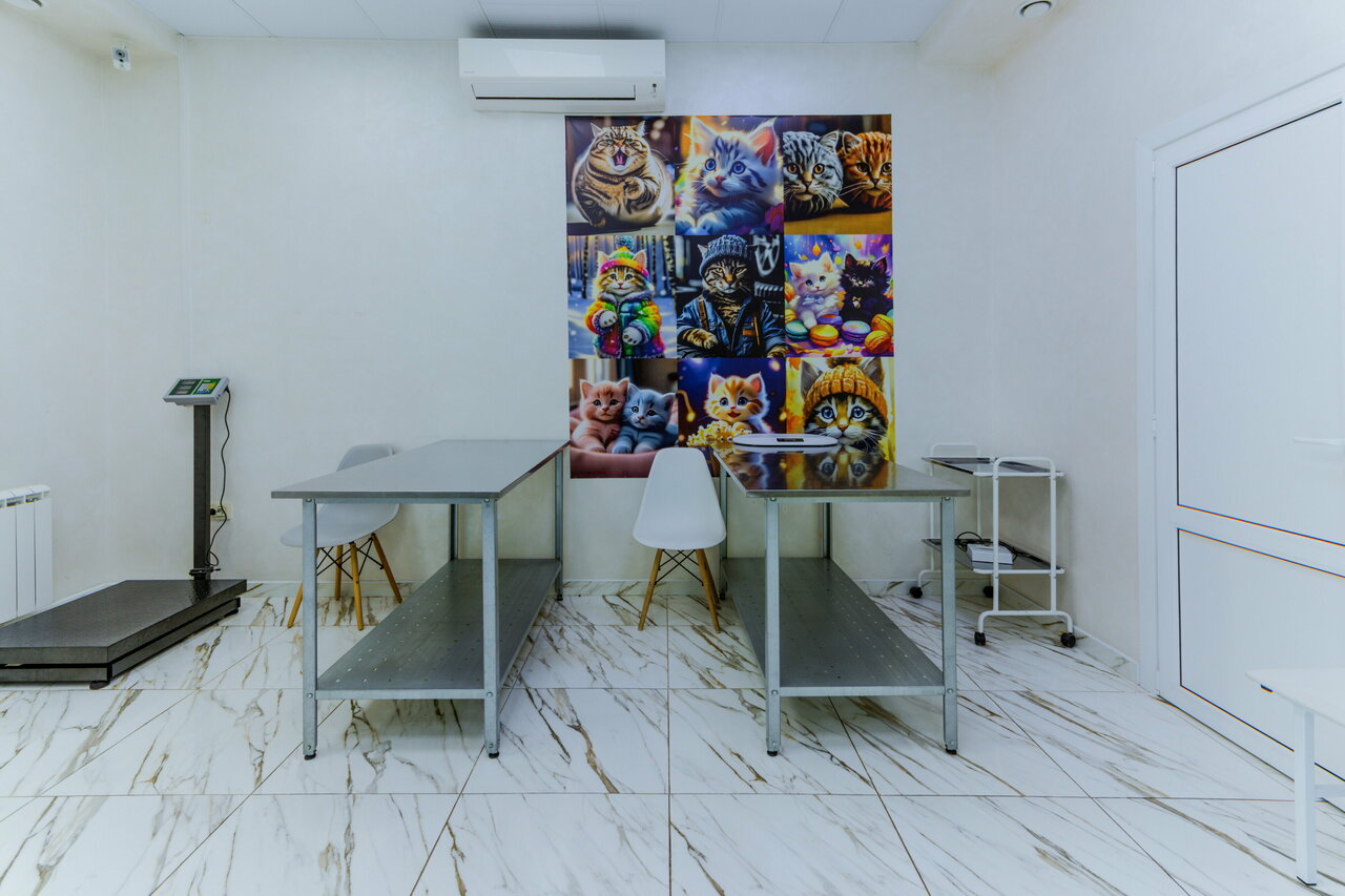 Ветеринарная клиника Киктенко Н. А.