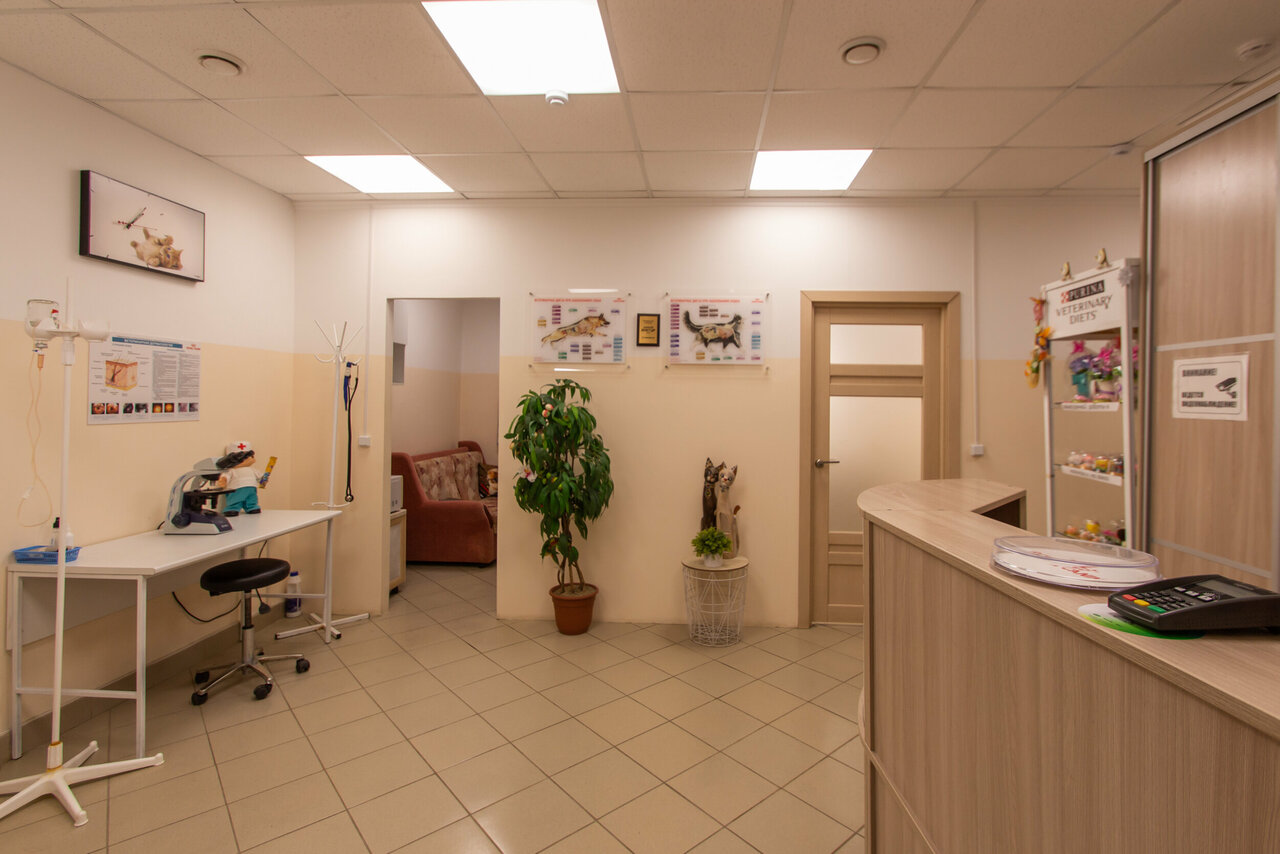 more clinic photos 10500