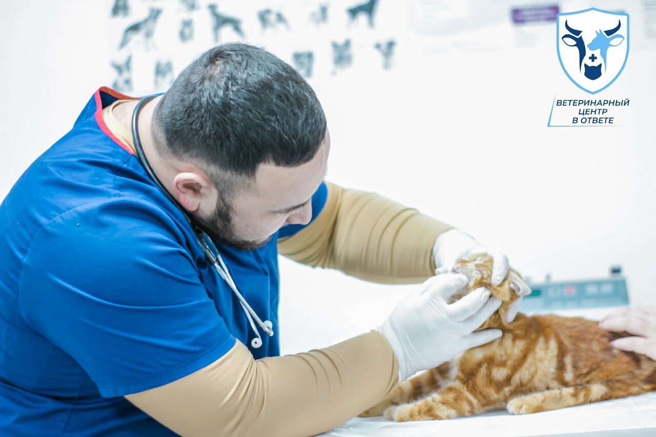 Фото клиники Ветеринарный центр в Ответе