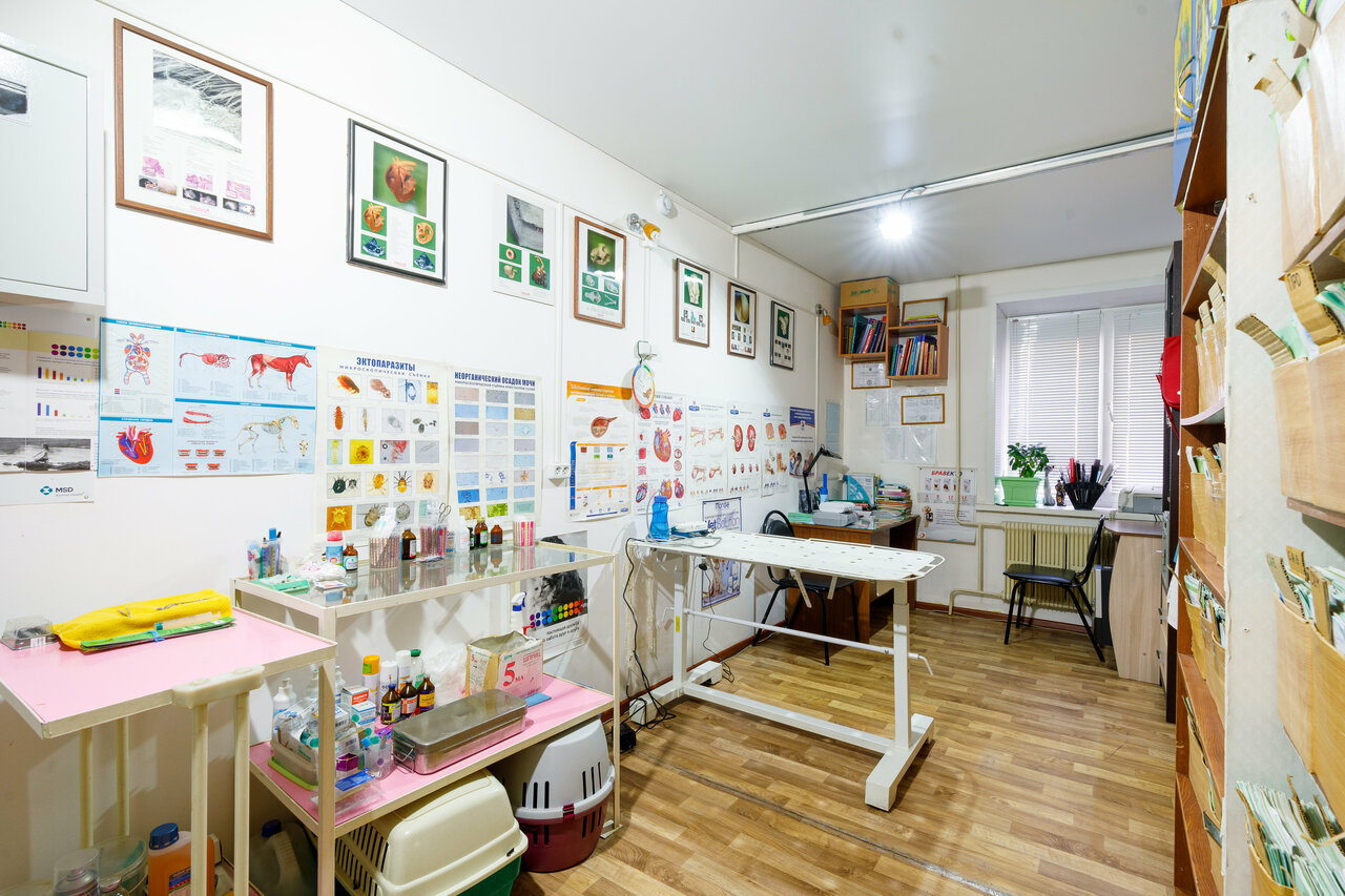 more clinic photos 8336