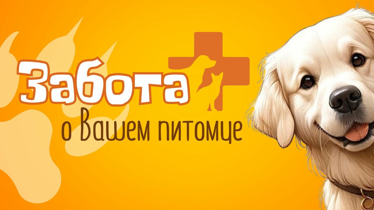 clinic general image