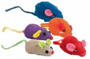 clinic general image