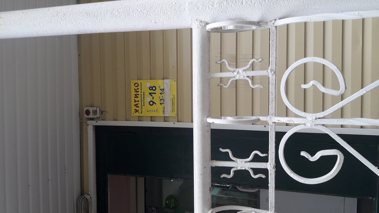 Ветеринарная клиника Хатико