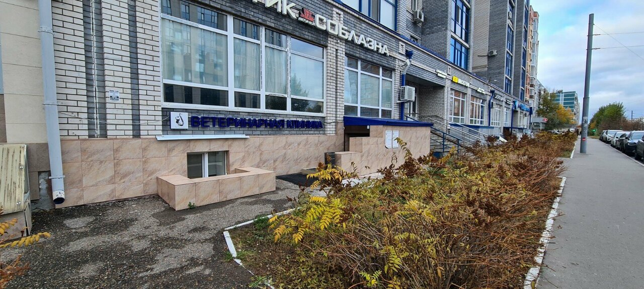 Фото «ВетБлюз»