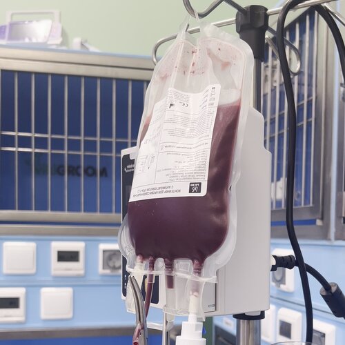 Университетский ветеринарный центр