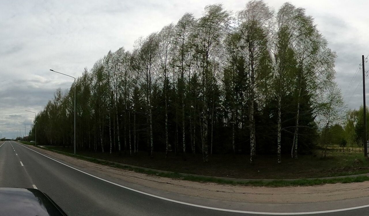 Фото клиники Лебяжская участковая ветеринарная лечебница