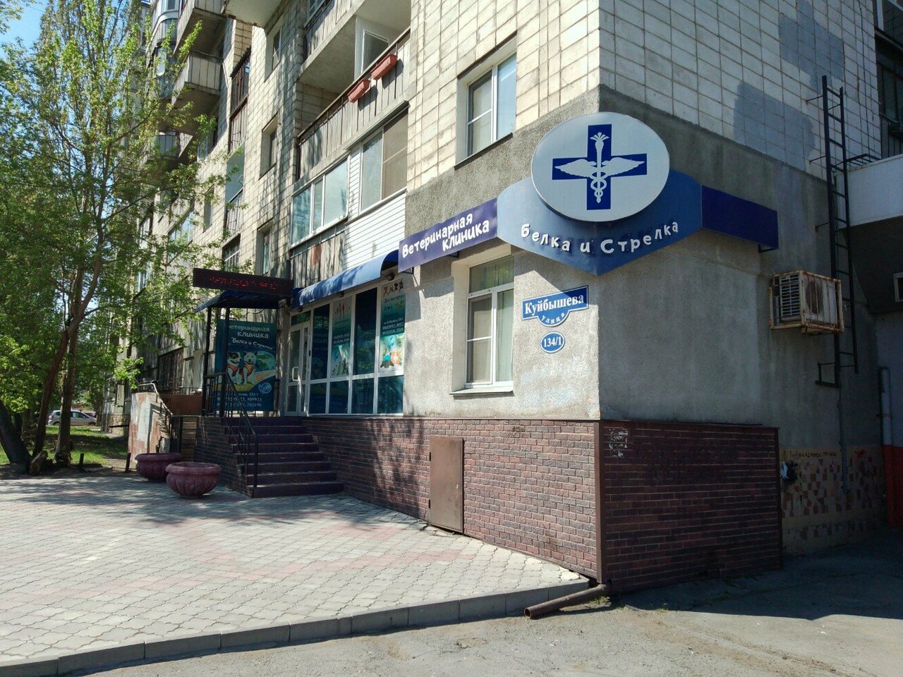 Фото клиники Белка и стрелка