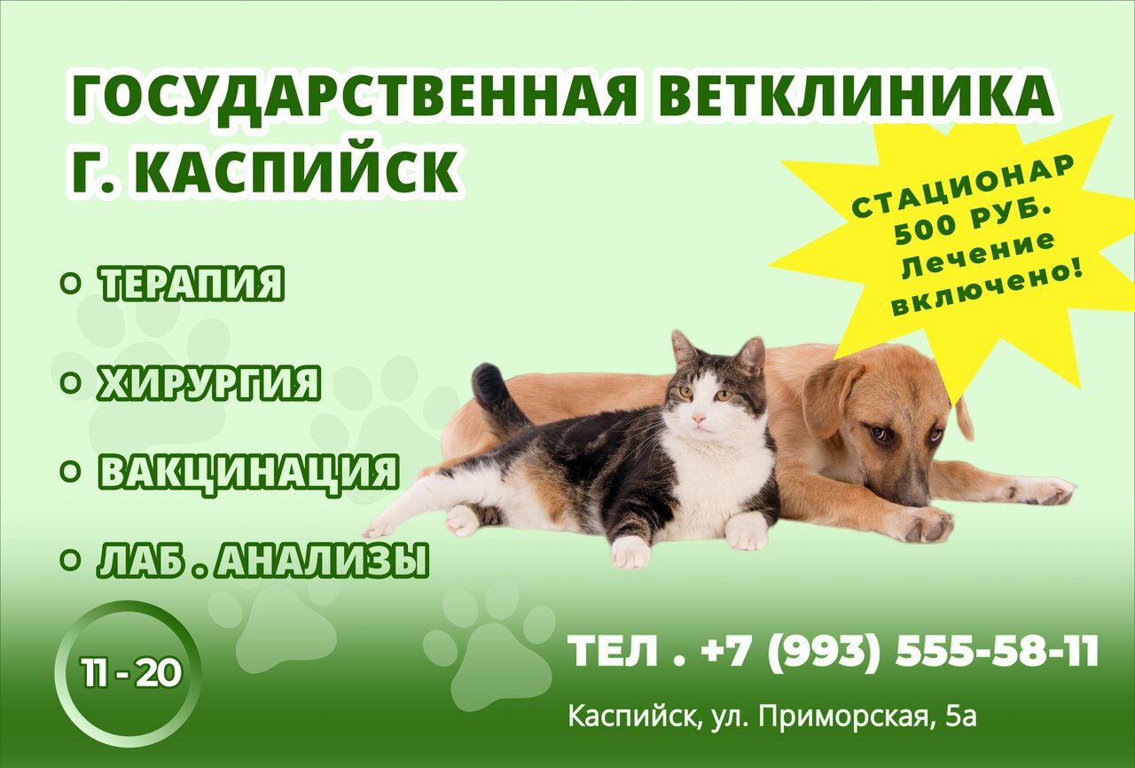 Государственная ветеринарная клиника