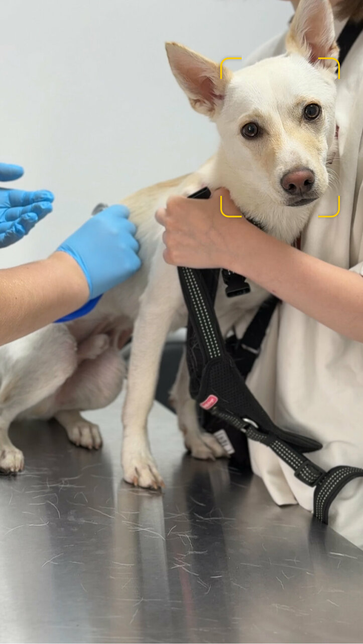 more clinic photos 52375