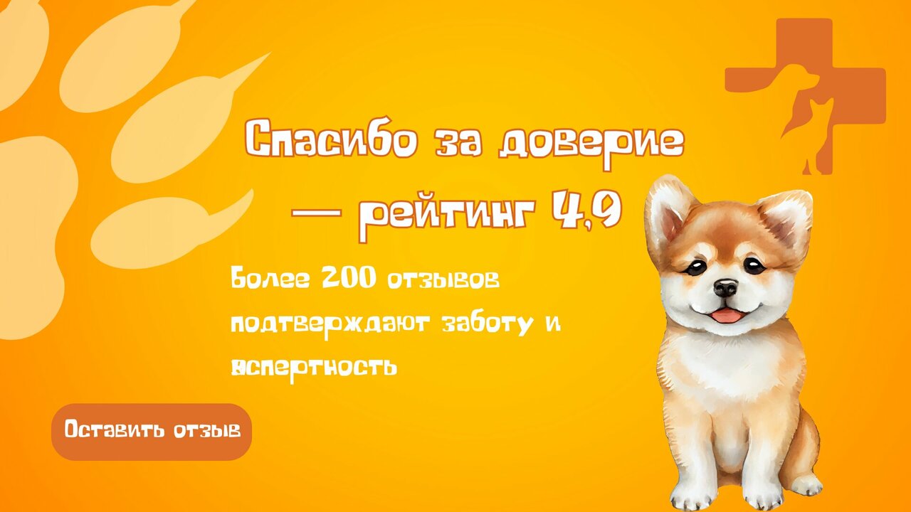 Фото клиники 11342