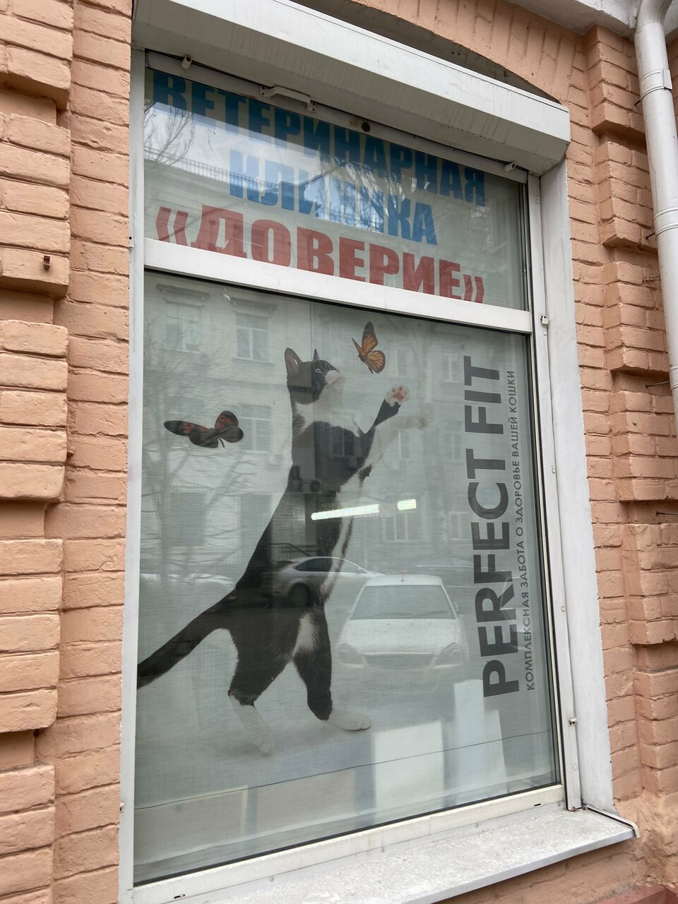 Фото клиники 69828