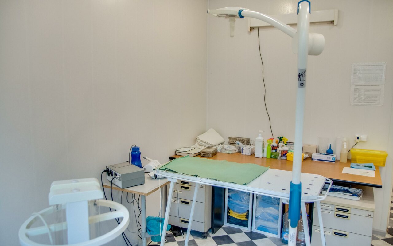 Скорая ветеринарная помощь