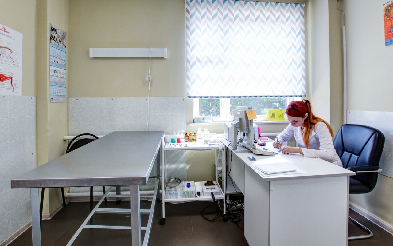Фото «Клиника доктора Асбьёрна»