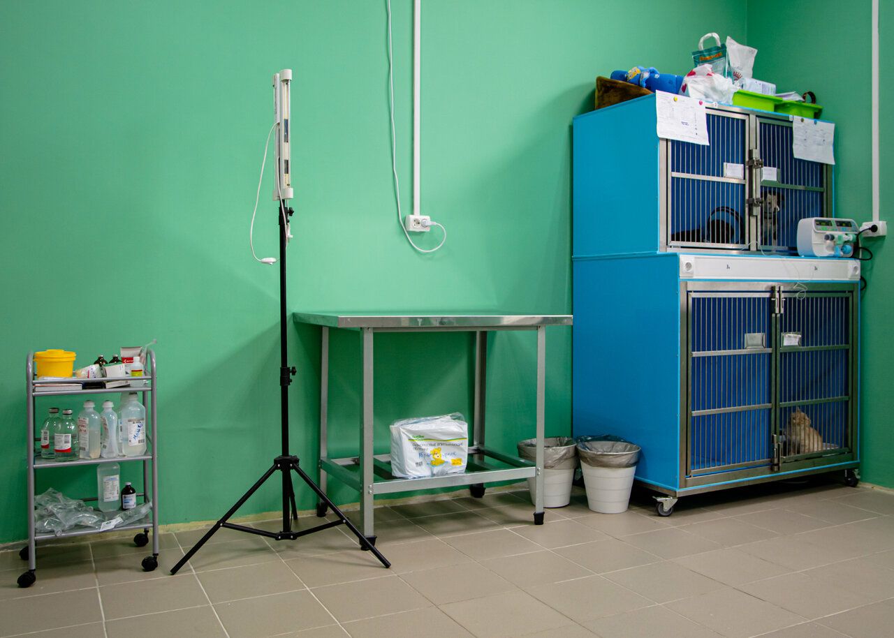 more clinic photos 18246